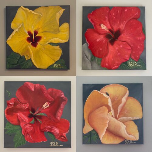 4 paintings in a 2 by 2 grid, each a close up of a hibiscus flower