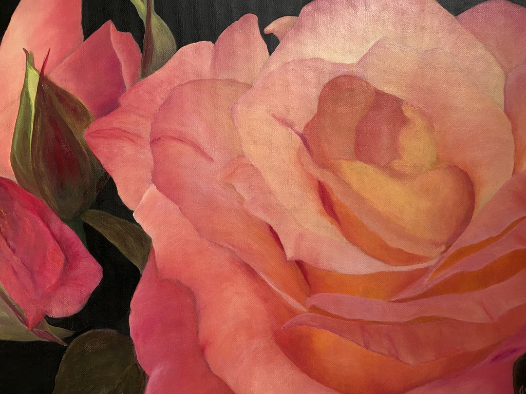 Close up painting of a light pink rose blooming