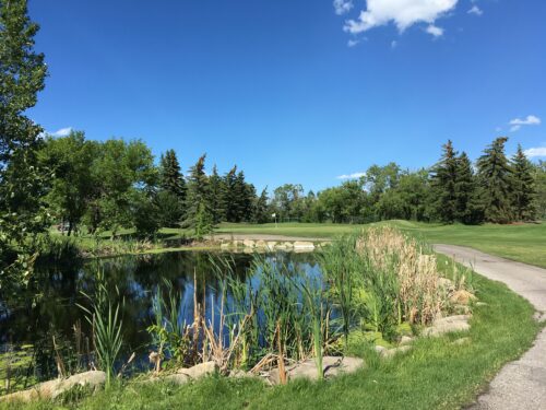 Photograph of a golf course water feature surrounded by trees