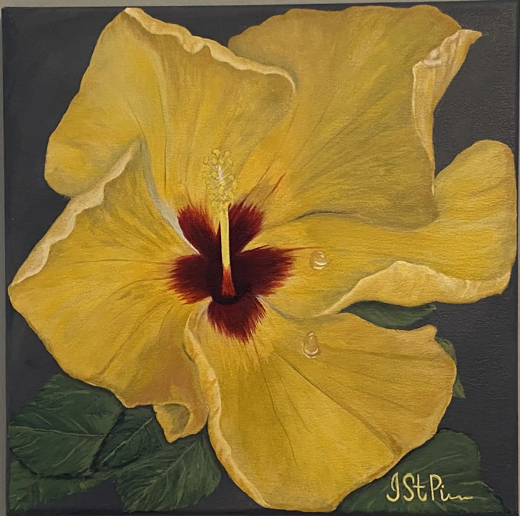 Close up painting of a yellow hibiscus flower