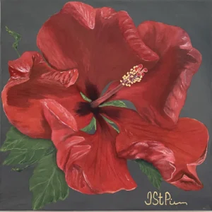 Close up painting of large red hibiscus flower