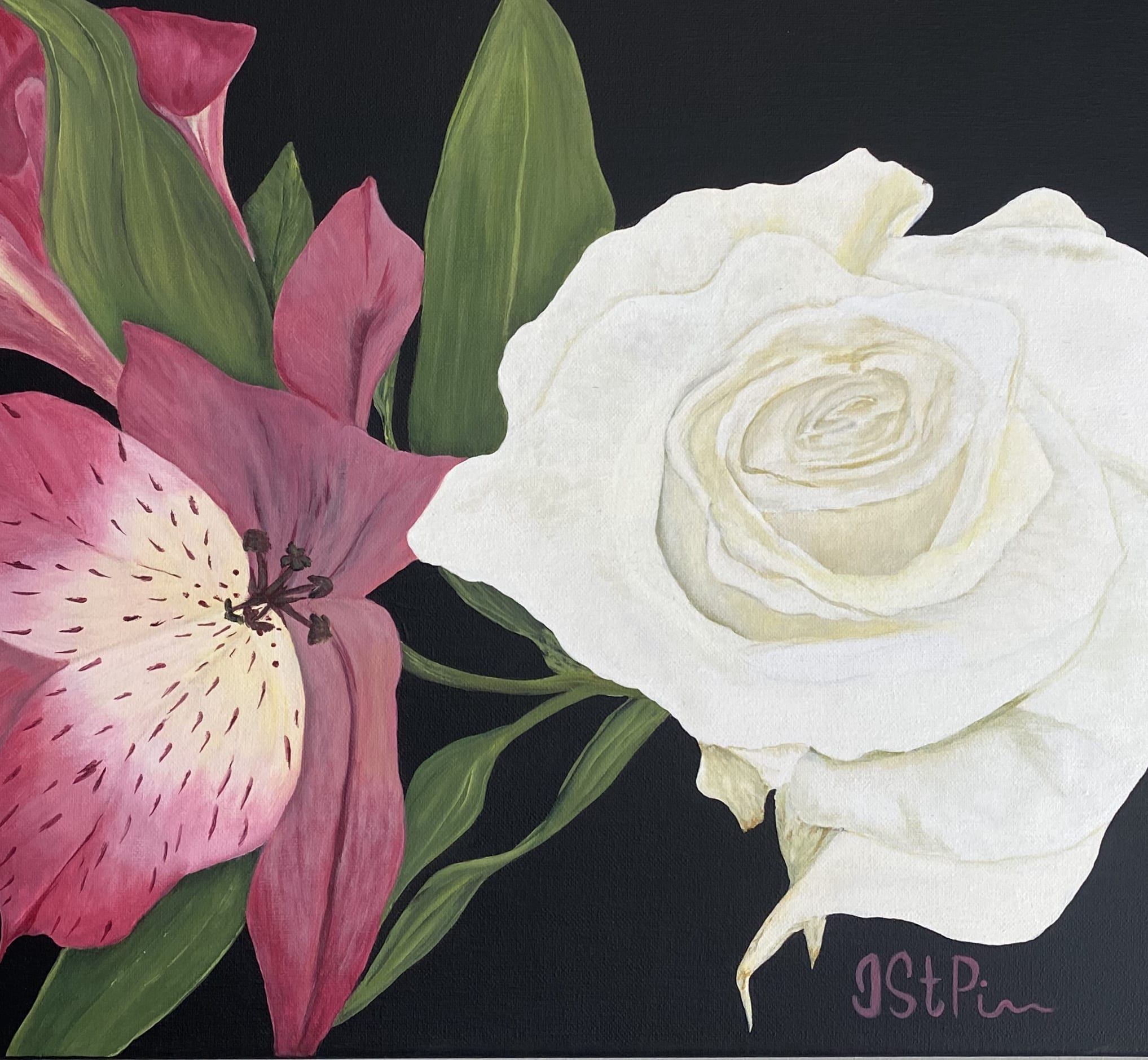 Close up painting of a white rose and pink alstroemeria flower