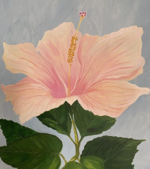 Painting of large light pink hibiscus flower