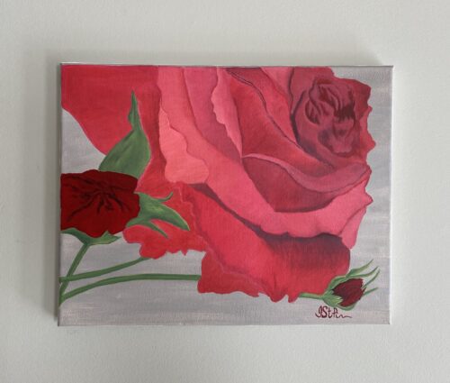 Close up painting of a bright red rose in bloom