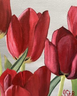 Tip Top Tulips