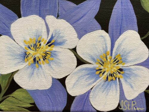 Painting of white and purple columbine flowers