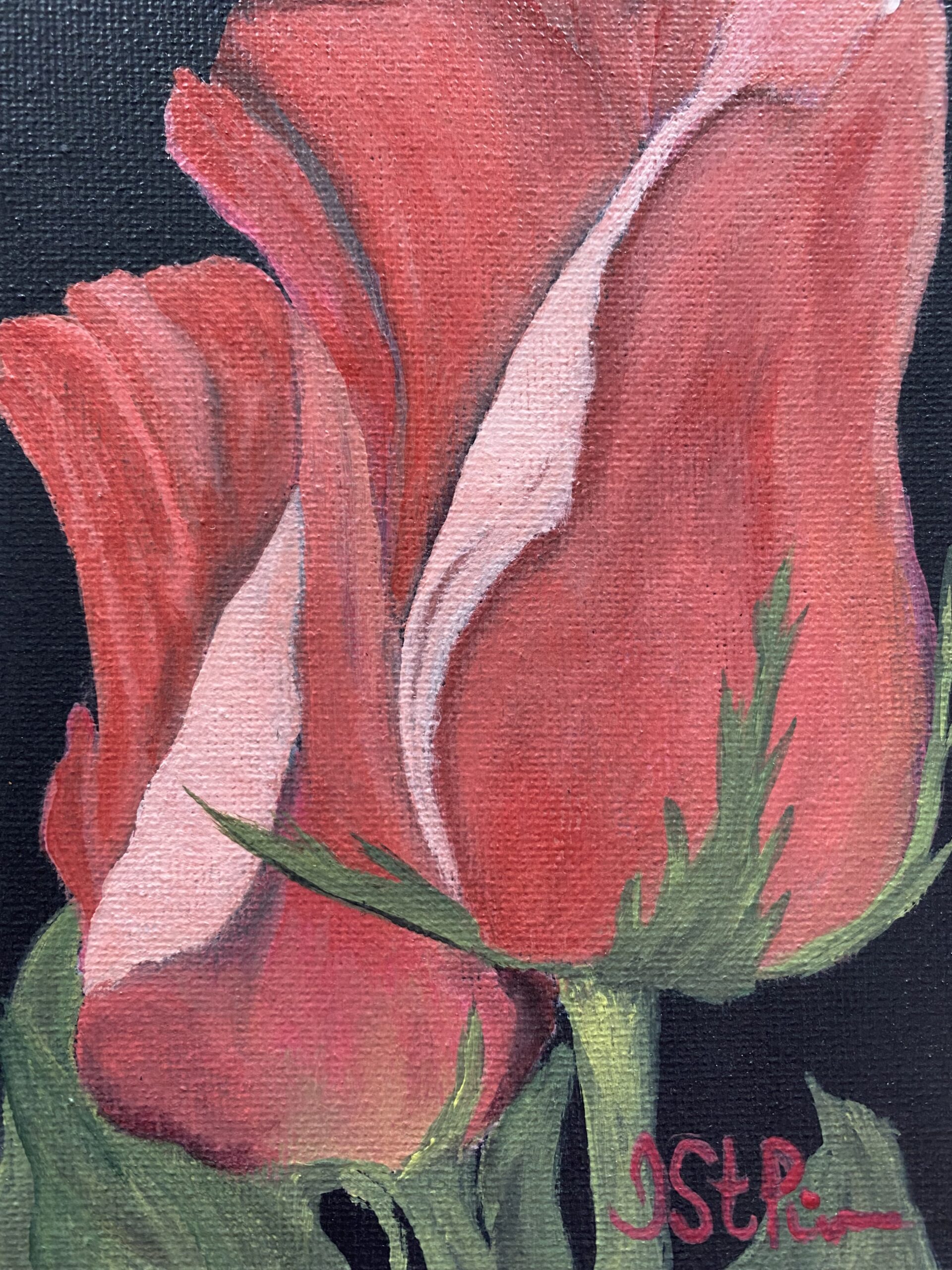 Close up painting of two red roses