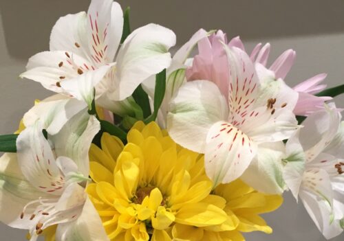 Close up photo of white and yellow flowers