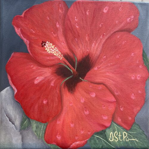 Red hibiscus flower painted on grey background