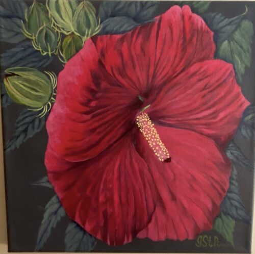 Painting of a red hibiscus flower along with new blooms