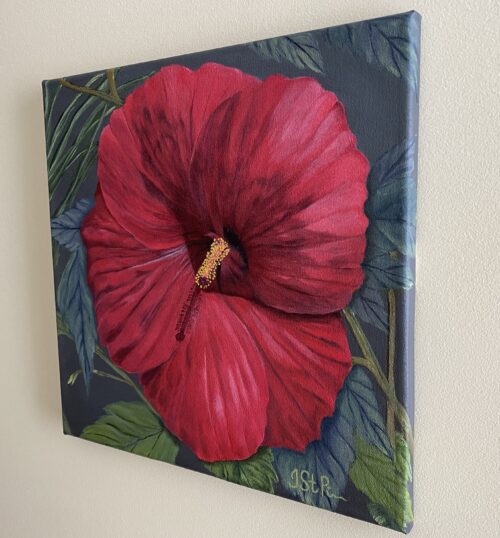 Painting of a red hibiscus flower with a center shadow