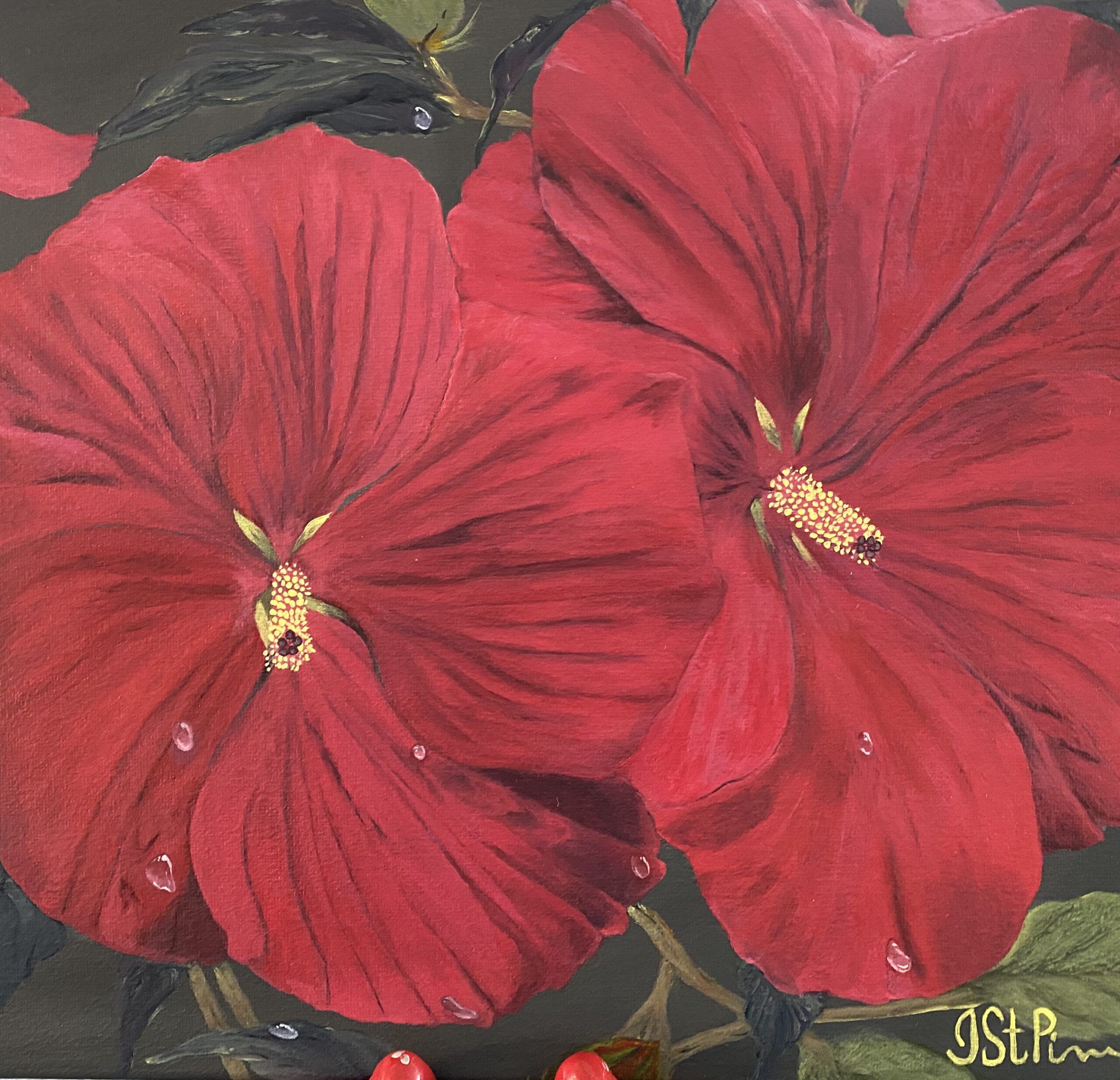 Painting of 2 red hibiscus flowers with water droplets on the petals