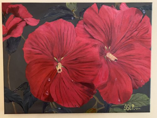 Painting of 2 red hibiscus flowers with water droplets on the petals