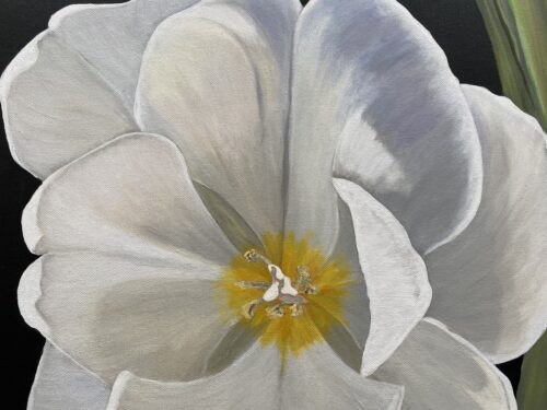 A painting of a large open white tulip reaching out from a glass vase