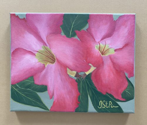 A painting of a tropical pink Mandevilla blooms on a pale green background