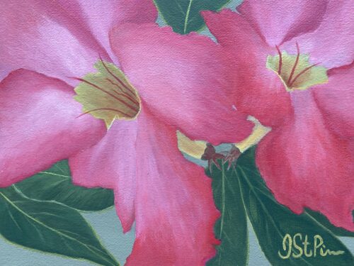 A painting of a tropical pink Mandevilla blooms on a pale green background