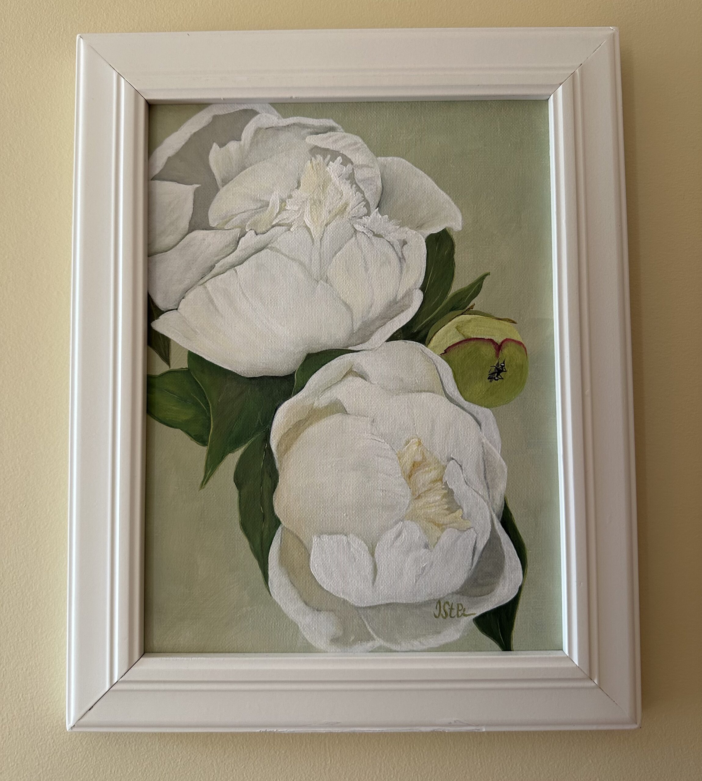 A painting of white peony blossoms framed in white with a pale green background