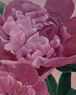 Pink Peonies