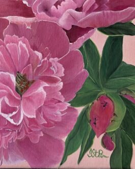 Pink Peonies