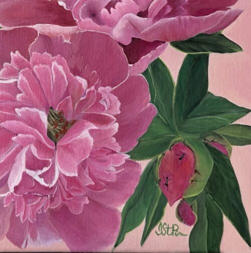 A painting of pink peony blooms on a pale pink background