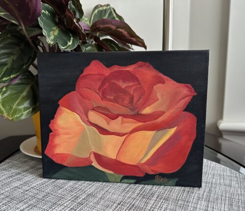 A painting of a beautiful red and orange rose bloom on a dark background