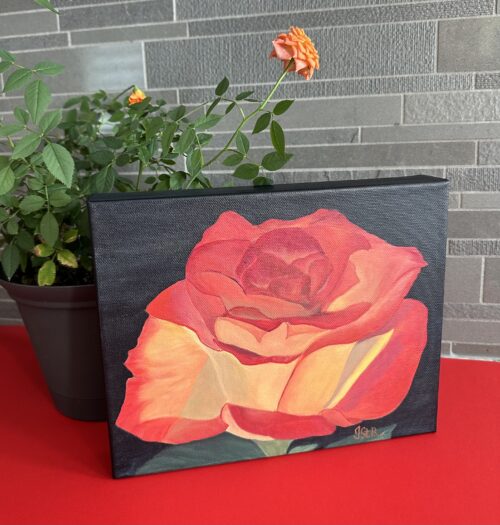 A painting of a beautiful red and orange rose bloom on a dark background