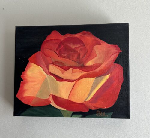 A painting of a beautiful red and orange rose bloom on a dark background