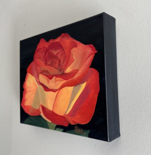 A painting of a beautiful red and orange rose bloom on a dark background