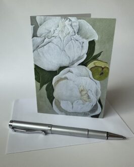 White Peonies – Art Print Notecard